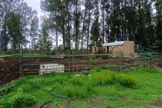 Commercial Property for Sale in Koppies Rural Free State